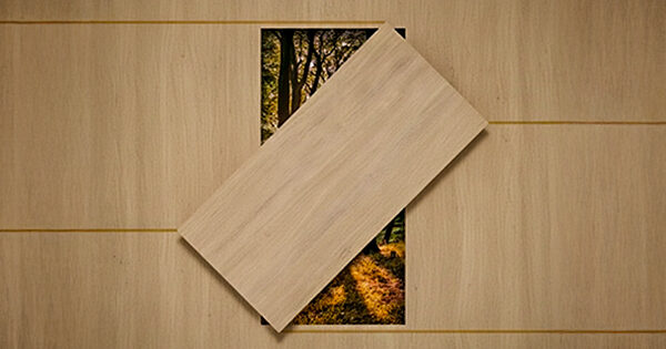 mdf